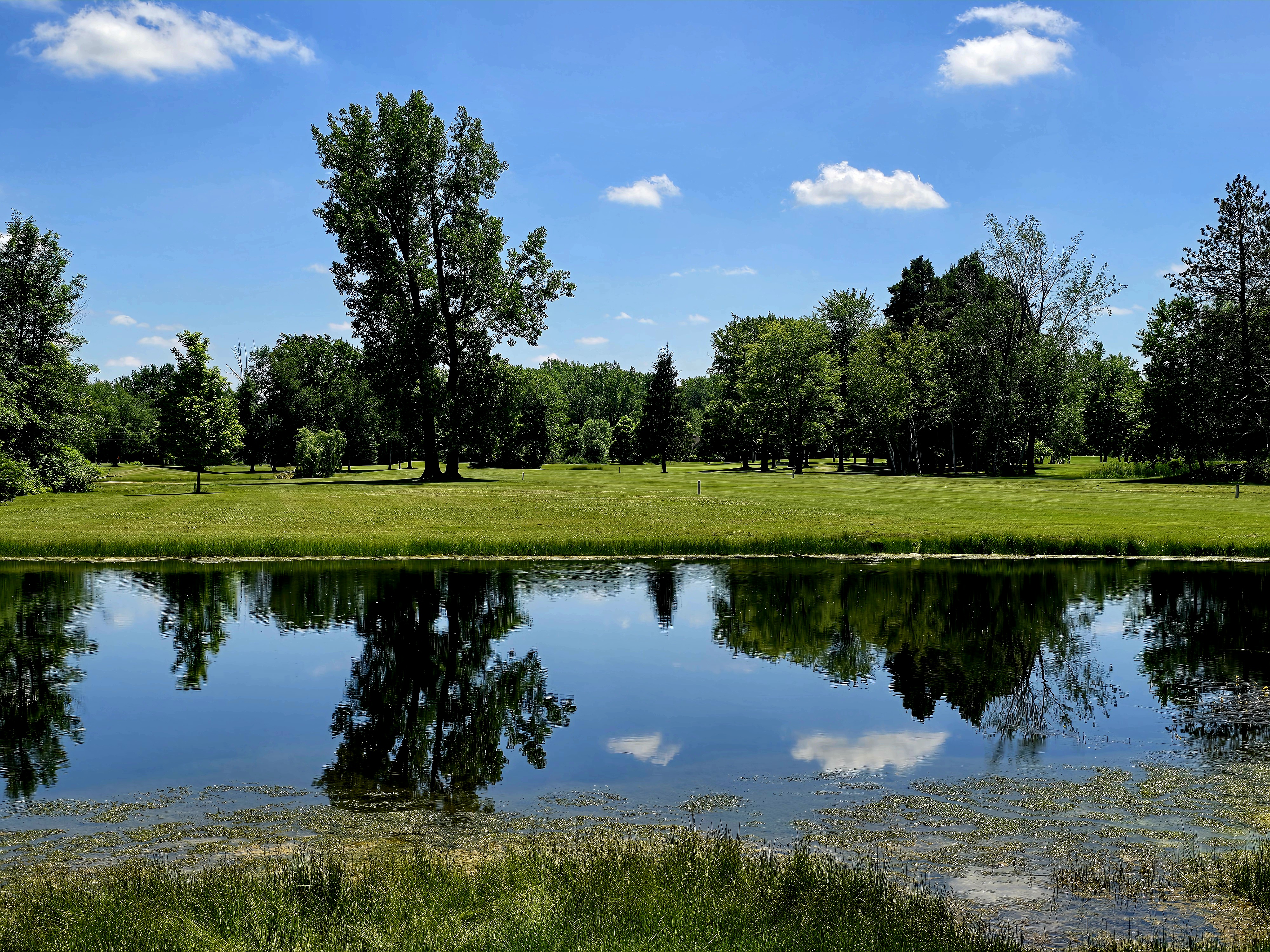 Golf course pond
